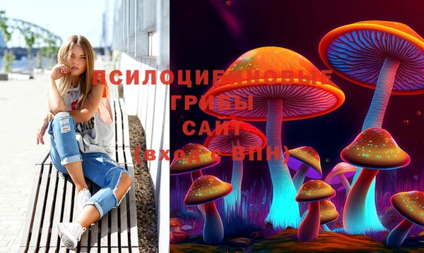 герыч Володарск