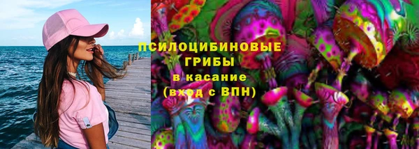 круглые Вязьма