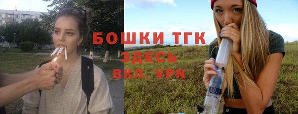 круглые Вязьма