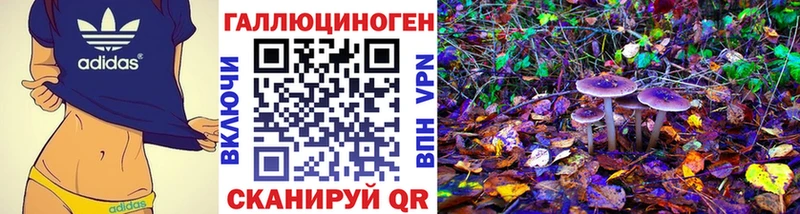 Галлюциногенные грибы Psilocybine cubensis  Заозёрный 